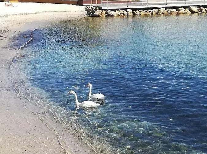 Standing Bord De Et Vue Apartment Antibes